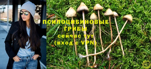 ALPHA PVP Алексеевка