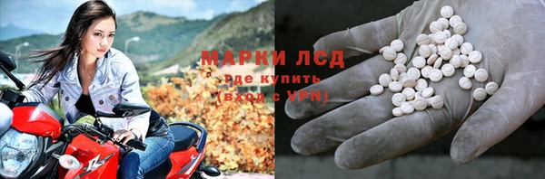крисы Алзамай